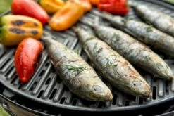 CADAC Grillo Chef 40 Gasbarbecue - BBQ/Chef Pan 21 CADAC Grillo Chef 40 Gasbarbecue - BBQ/Chef Pan -Kampeeruitrusting 900 1348 grillo chef 40 bbq grid